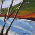 Robins Cove 11