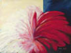 Red Bromeliad